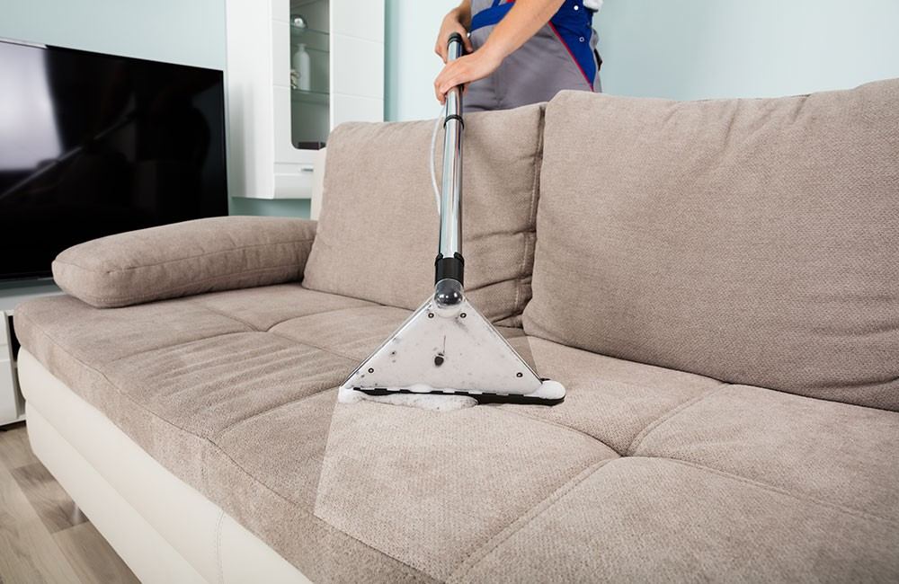 Professional Carpet & Furniture Cleaning